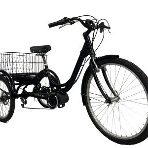VOLTRIKE Triciclo Elétrico