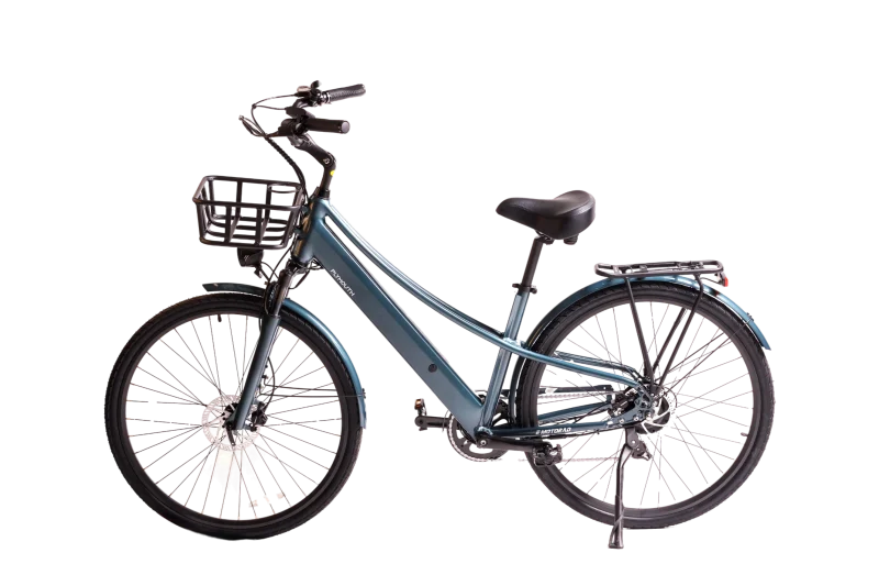eMotorad Plymoth - Image 10
