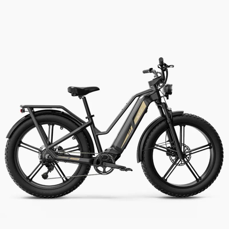 Fiido Titan Robust Cargo