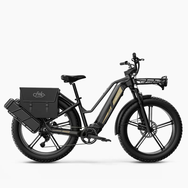 Fiido Titan Robust Cargo - Image 6