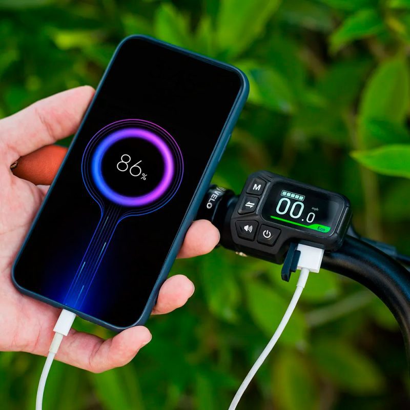 Fiido C11 Pro - Image 9