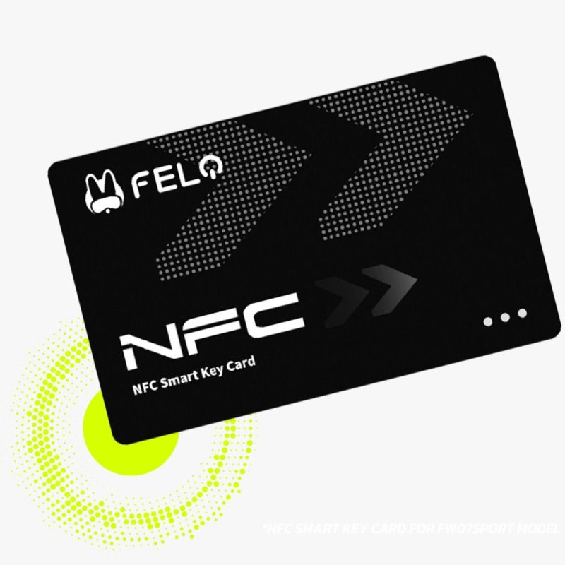 Felo FW-07 - Imagen 9