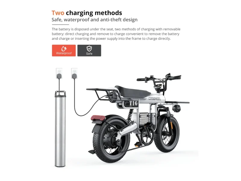 Coswheel T16 - Cargo Bike - Image 6