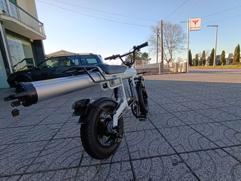 Coswheel T16 - Cargo Bike - Image 17