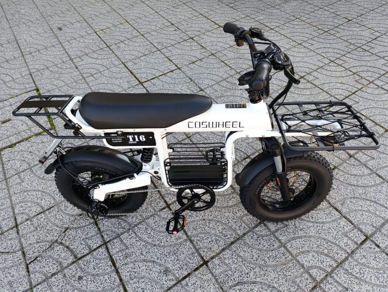 Coswheel T16 - Cargo Bike - Image 20