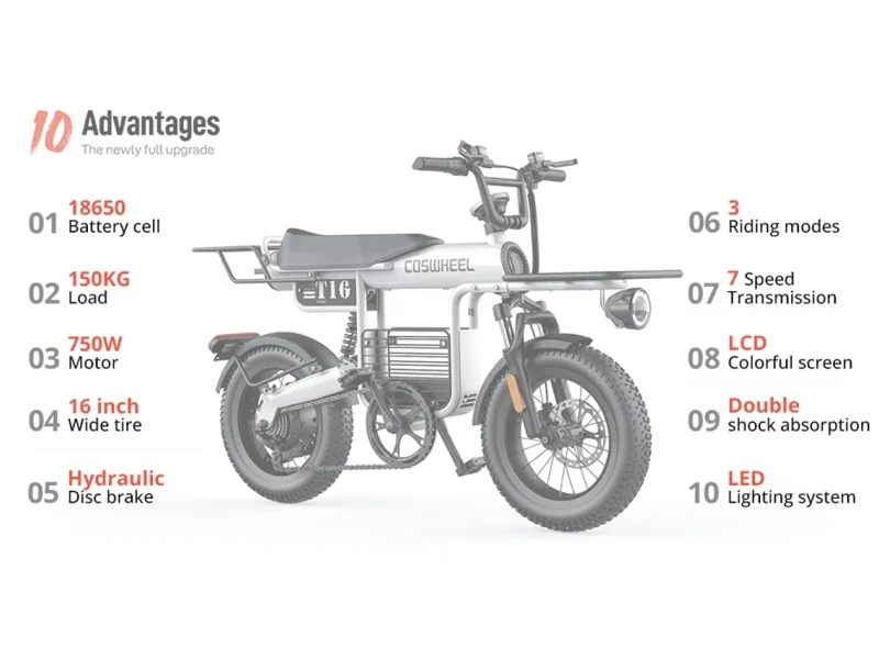 Coswheel T16 - Cargo Bike - Image 8