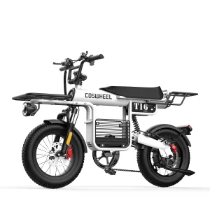 Coswheel T16 - Bicicleta de carga