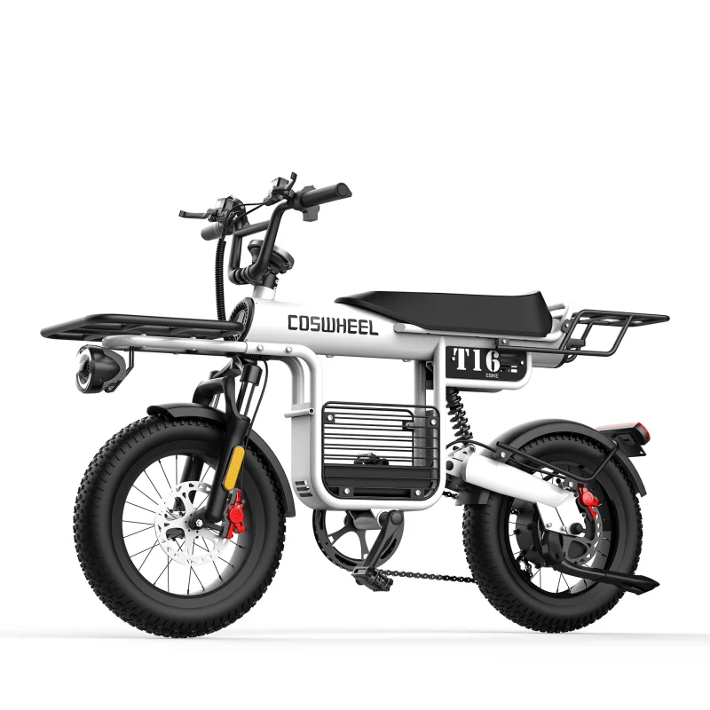Coswheel T16 - Cargo Bike