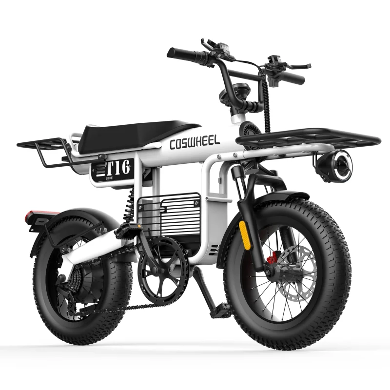 Coswheel T16 - Cargo Bike - Image 2