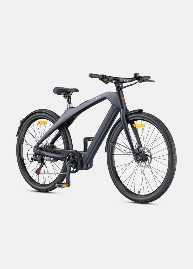 Engwe MAPFOUR N1 Pro
