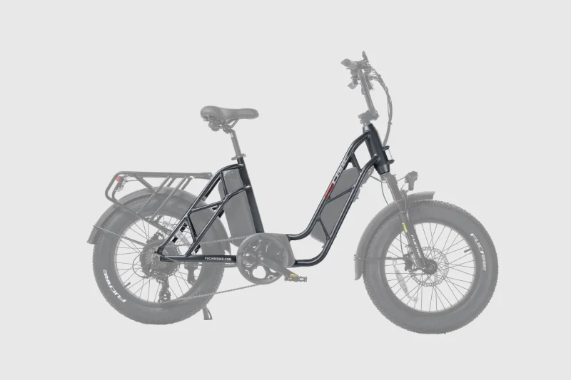 Fucare Gemini Step Thru Cargo Bike - Image 5