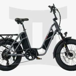 Bicicleta de carga Fucare Gemini Step Thru