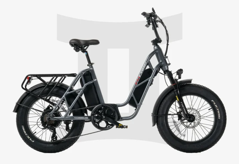 Fucare Gemini Step Thru Cargo Bike