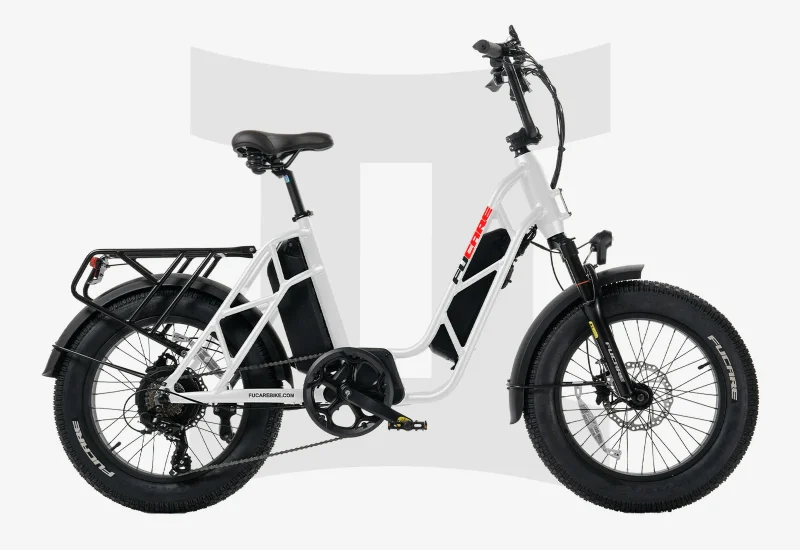 Fucare Gemini Step Thru Cargo Bike - Image 3