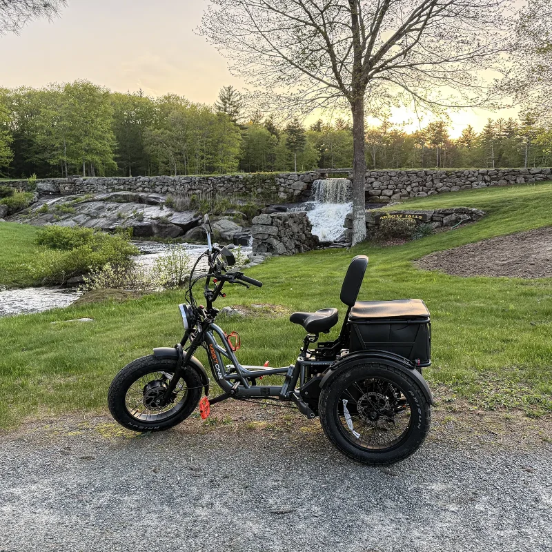 Meet One Tour Lite Full Suspension Electric Trike - Image 4