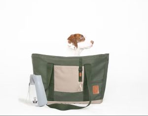 Kit Dog Rider (+139€)