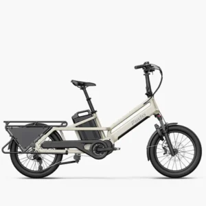 Fiido T3 Max Family Cargo E-Bike