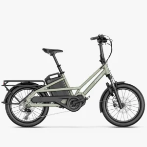 Fiido T3 Urban Family Cargo E-Bike