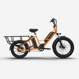 Emotorad Cargo G1